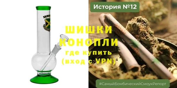 ГАЛЛЮЦИНОГЕННЫЕ ГРИБЫ Бронницы