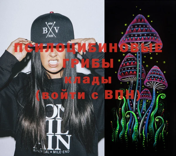 ГАЛЛЮЦИНОГЕННЫЕ ГРИБЫ Бронницы