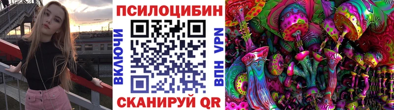купить наркоту  блэк спрут зеркало  Псилоцибиновые грибы Psilocybe  Кемерово 